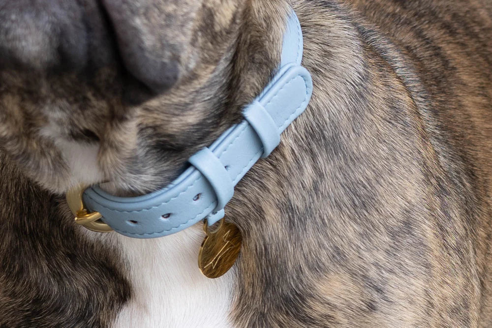 The Dog Musthaves - Hondenhalsband echt leer met naam penning - Blauw