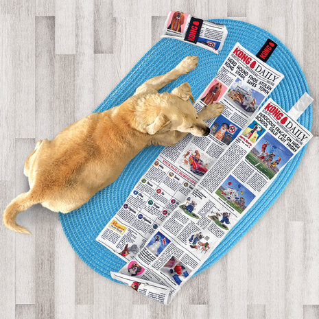 KONG - Daily newspaper