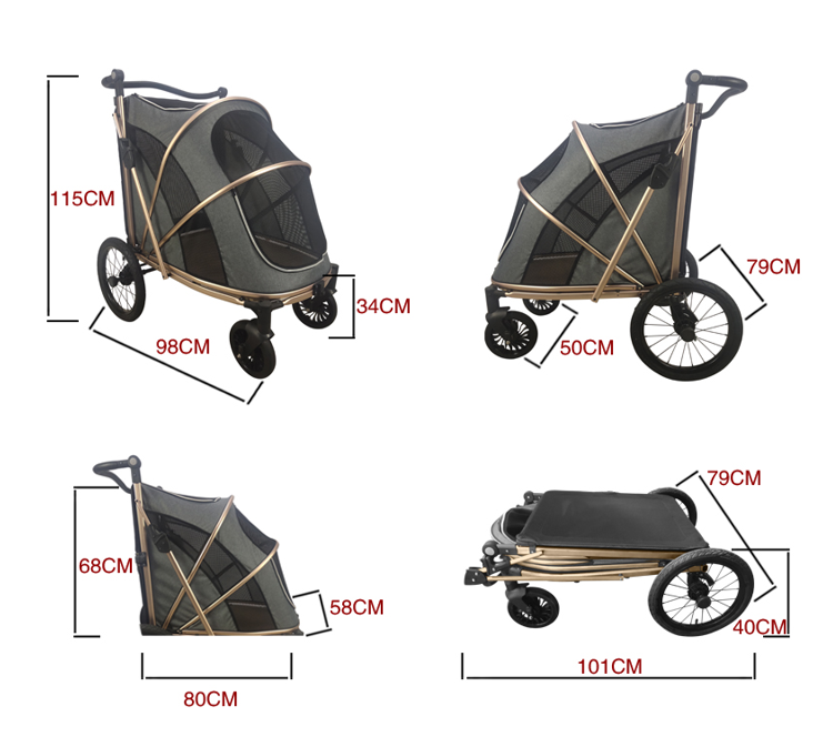 Buggy type 4