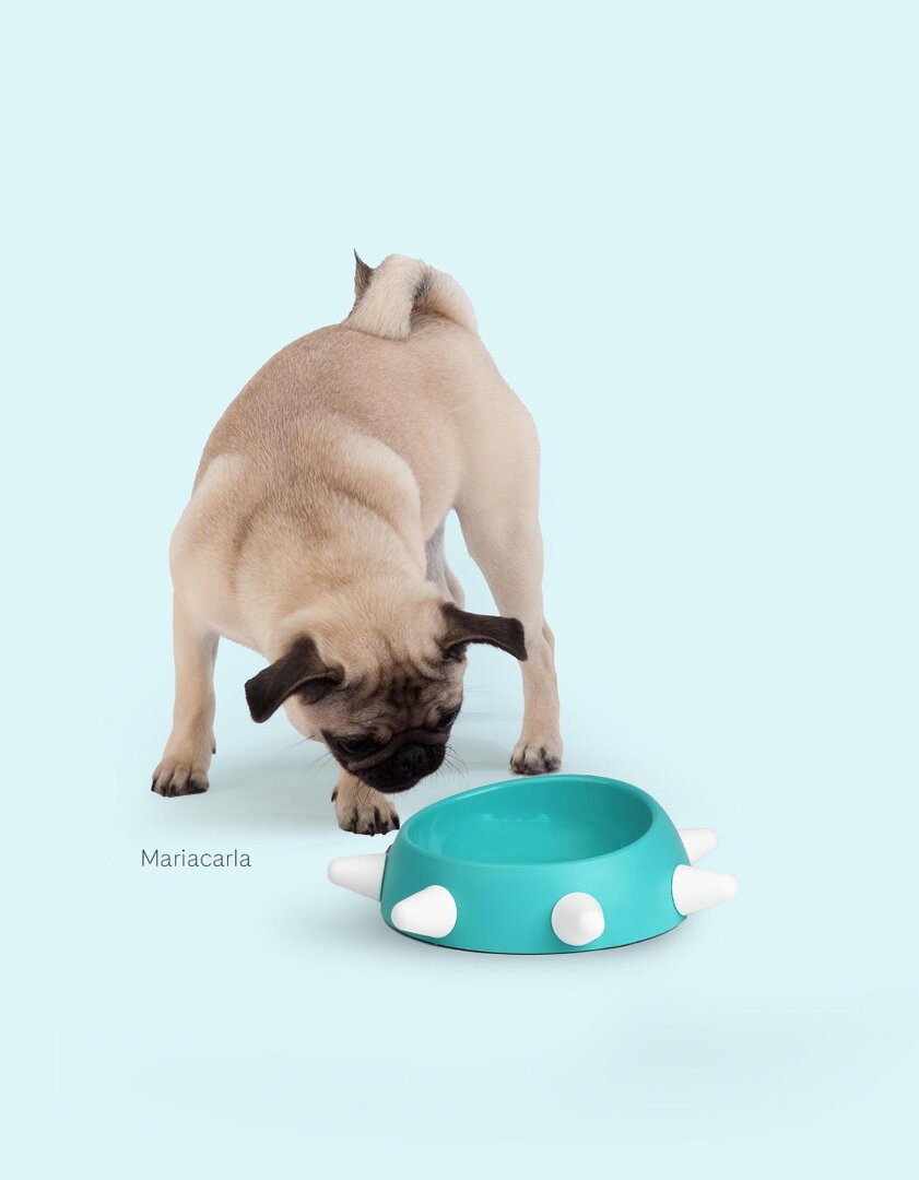 United Pets - Spikes bak blauw