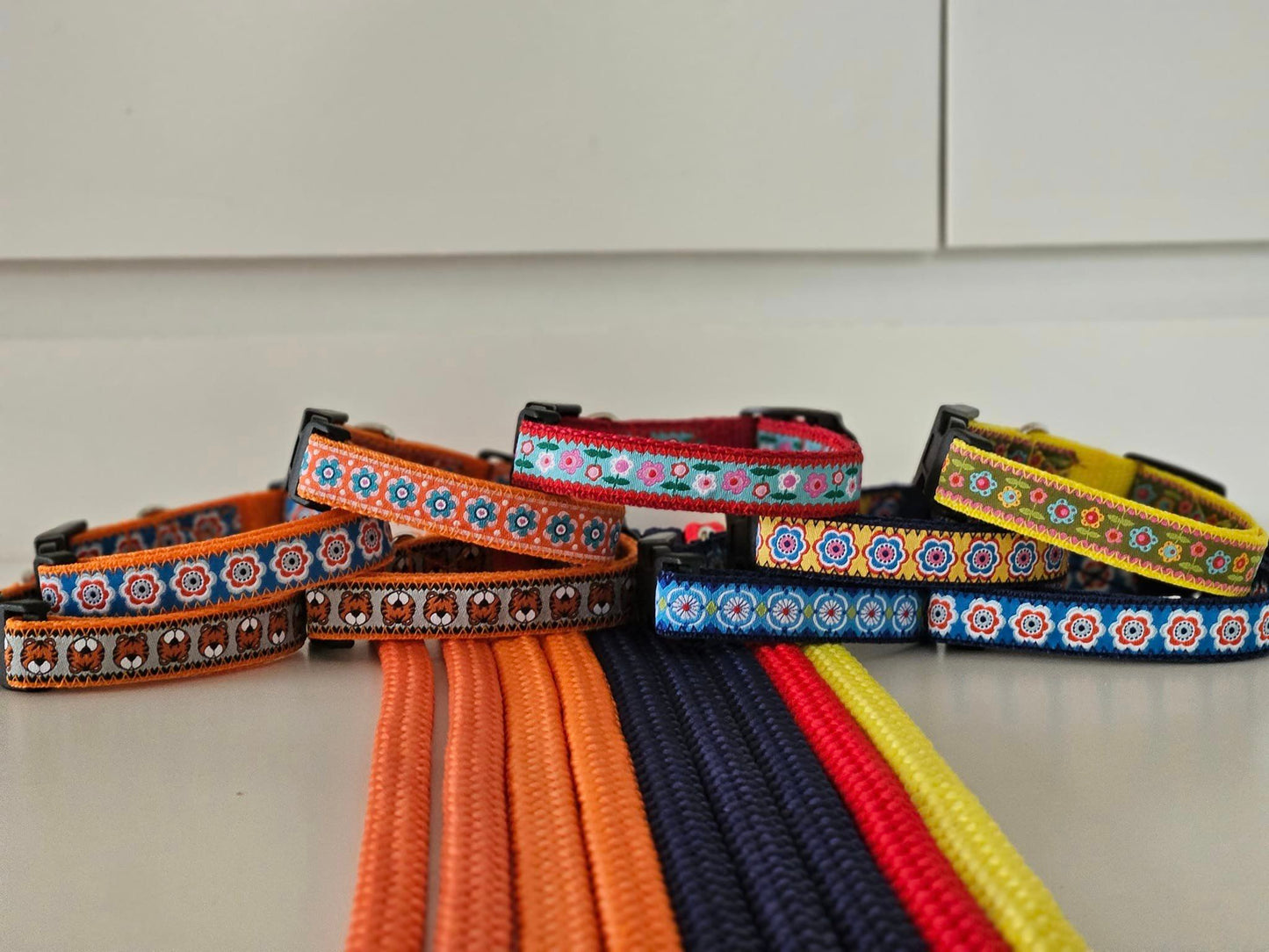 van de Huszarstate - Puppysetjes