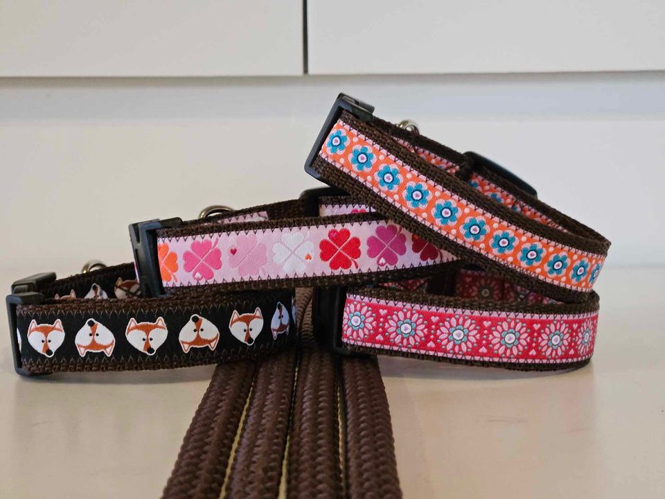 van Bovendraaisterwiek - Puppysetjes