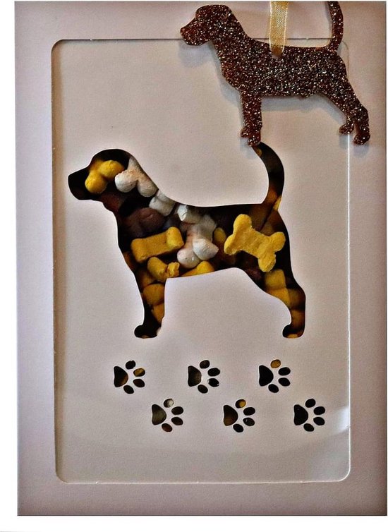 Een ๐ช + ๐ door de ๐ฌ - Beagle