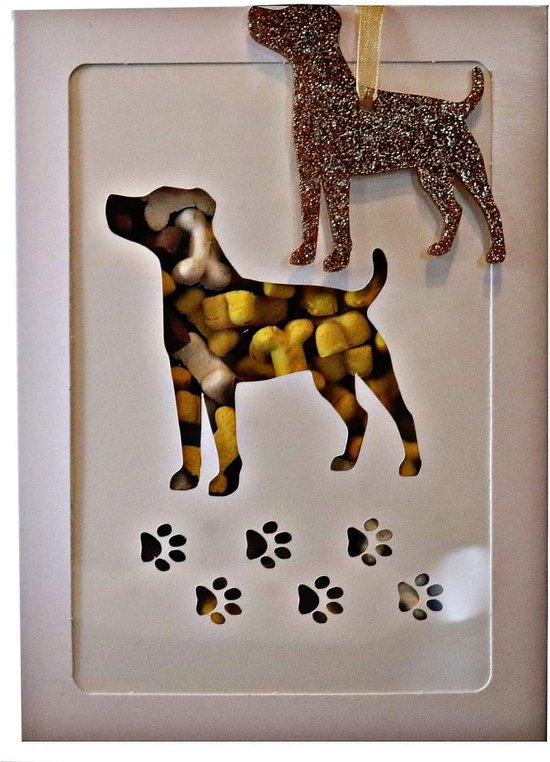 Een ๐ช + ๐ door de ๐ฌ - Jack Russel