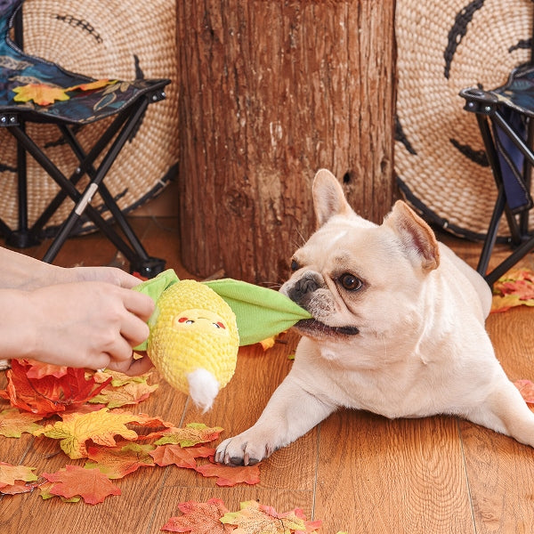 Camping Pups – Corn