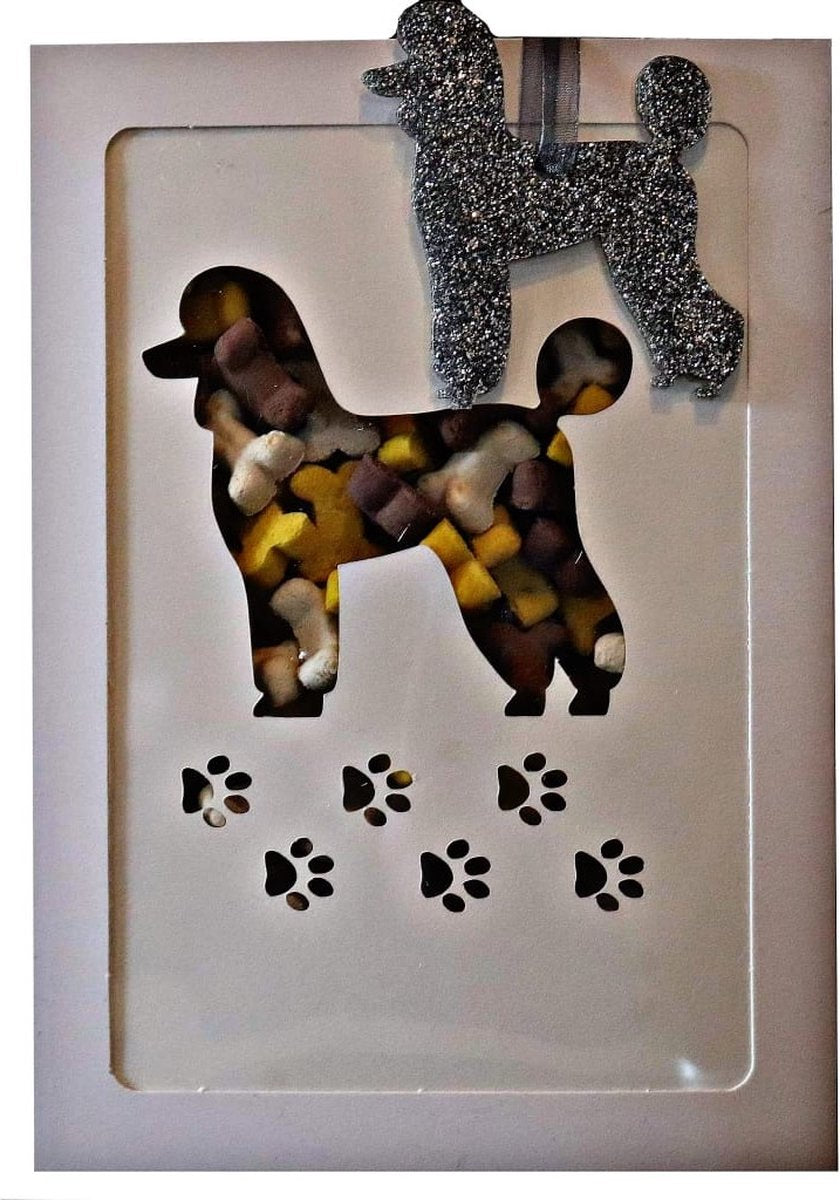 Een ๐ช + ๐ door de ๐ฌ - Poedel