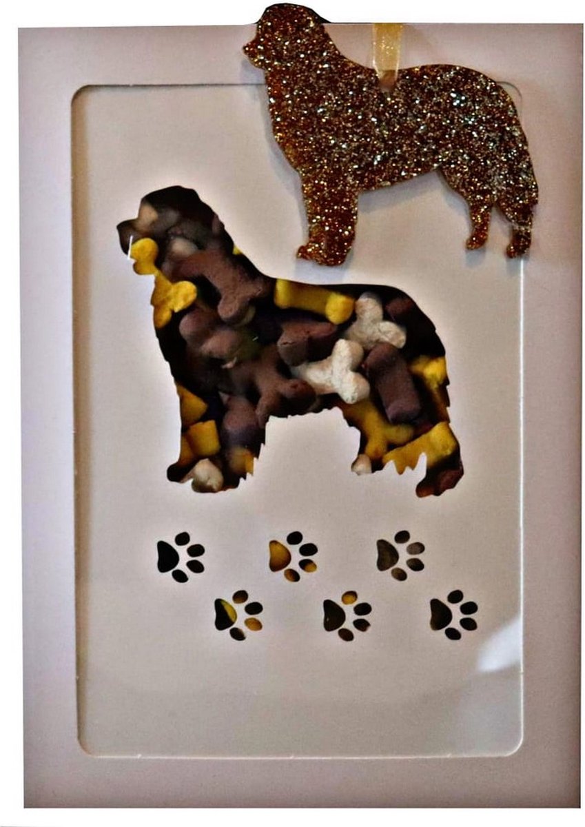 Een ๐ช + ๐ door de ๐ฌ - Berner Sennenhond