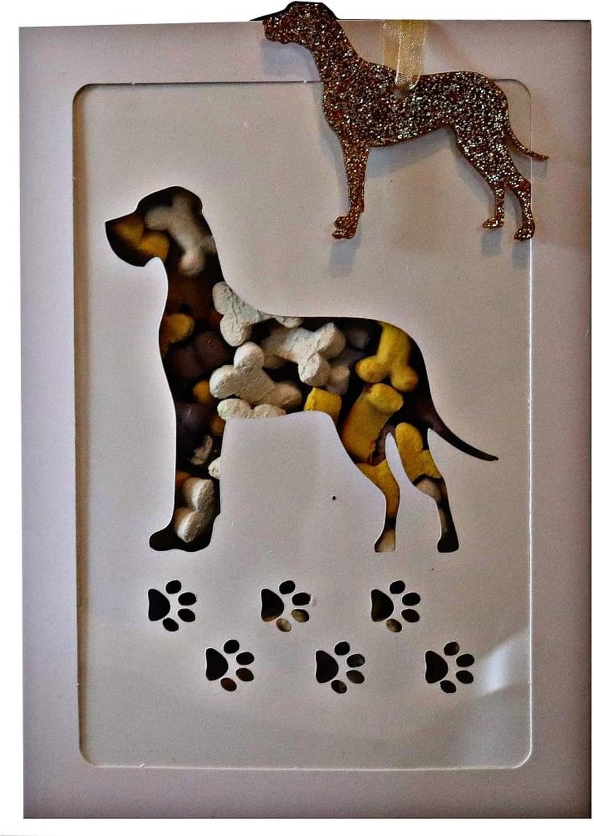 Een ๐ช + ๐ door de ๐ฌ - Dog