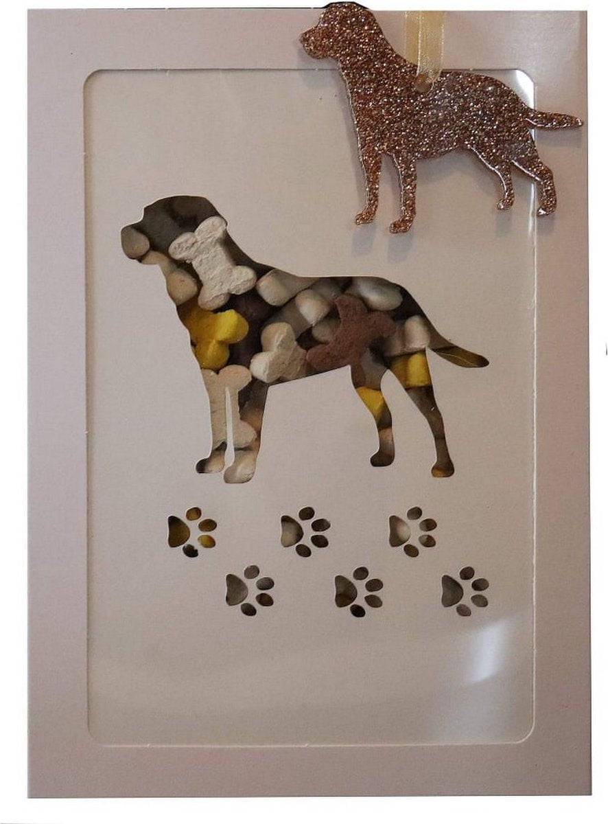 Een ๐ช + ๐ door de ๐ฌ - Labrador Retriever