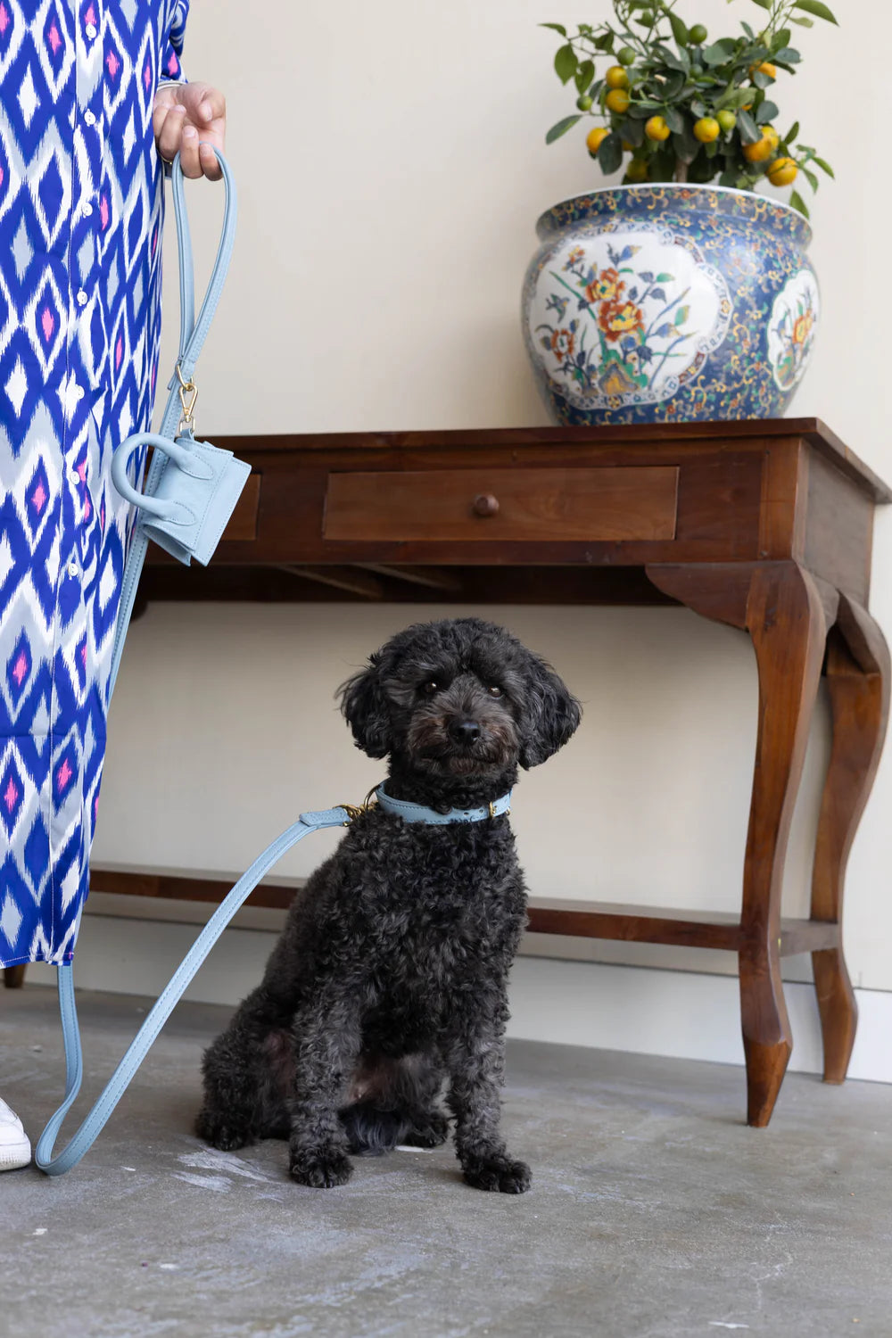 The Dog Musthaves - Blauwe leren hondenriem
