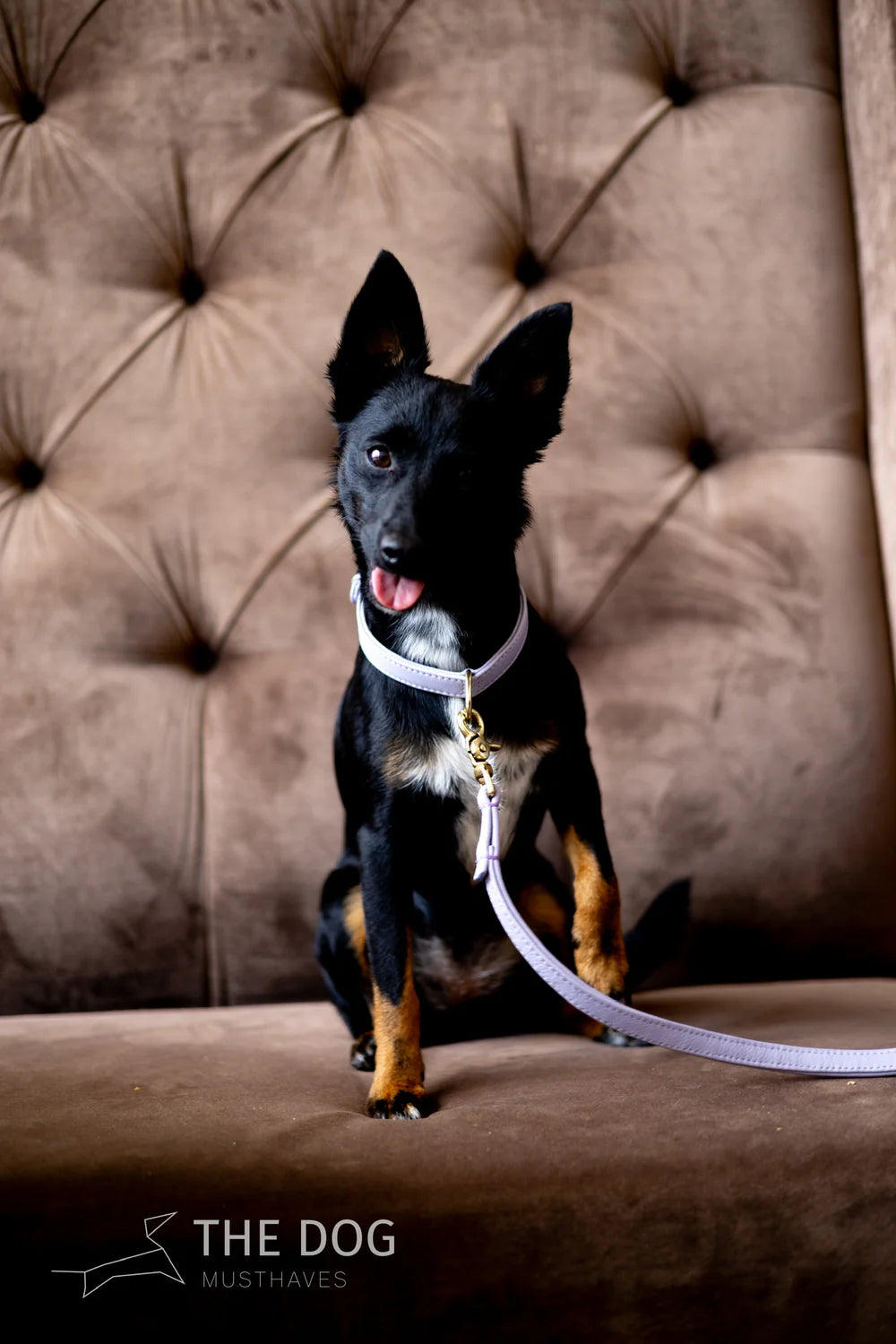 The Dog Musthaves - Lila leren hondenriem