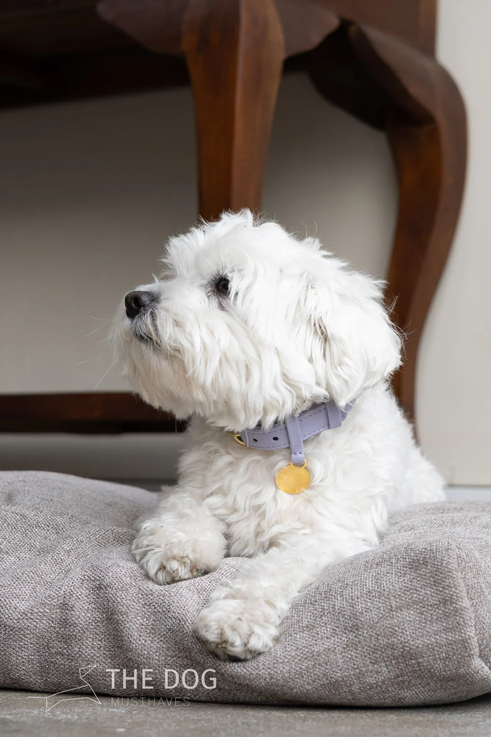The Dog Musthaves - Hondenhalsband echt leer met naam penning - Lila