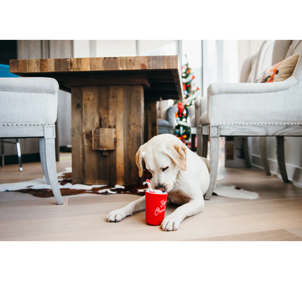 P.L.A.Y - Hot Chocolate