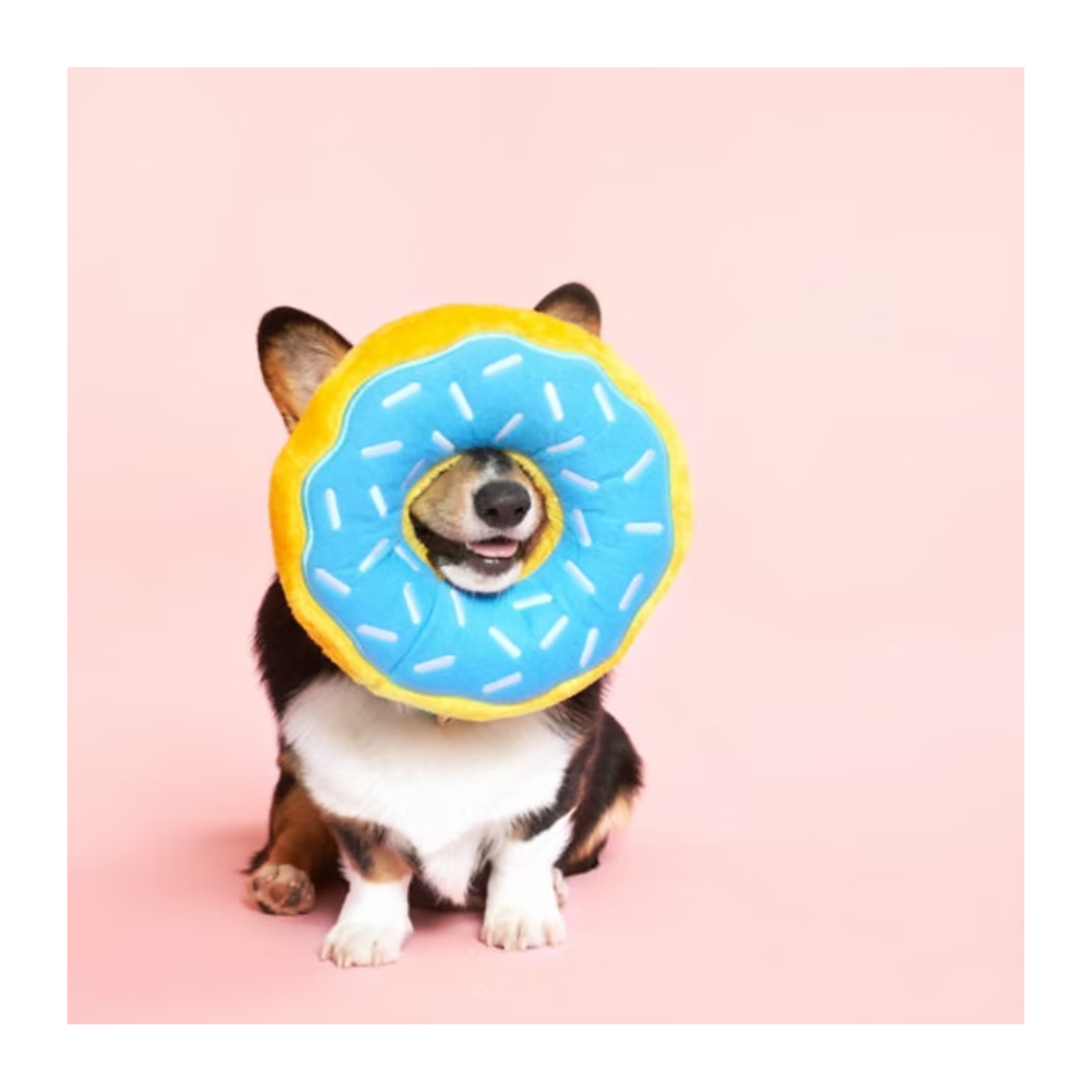 ZippyPaws - Blueberry Donut