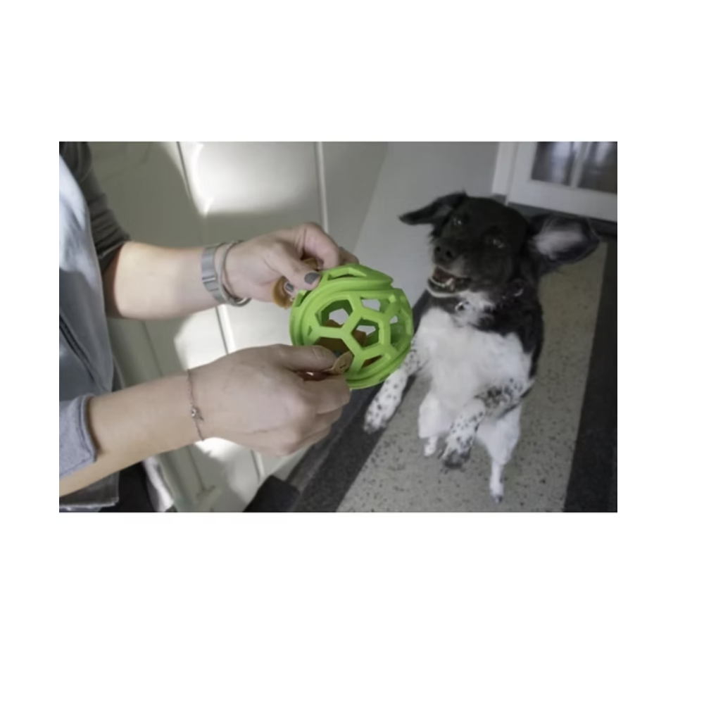Dog Comets - Titan bal