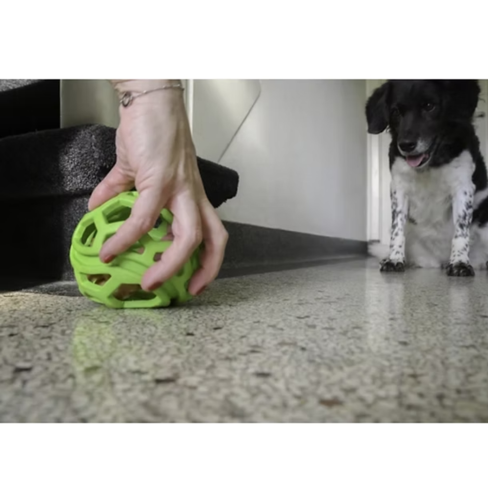 Dog Comets - Titan bal