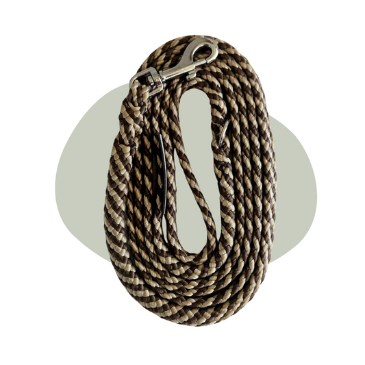 Wandellijn - Praline