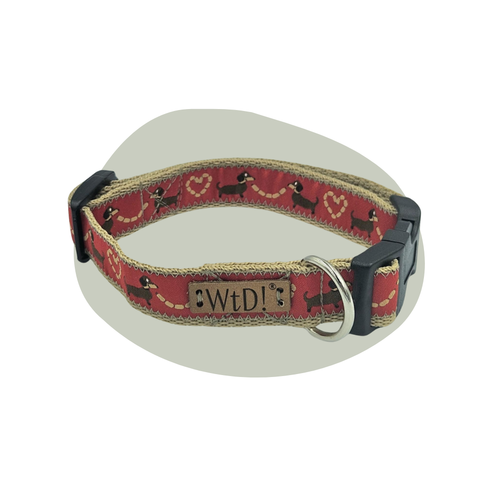 Middel halsband - Takkie Teckel