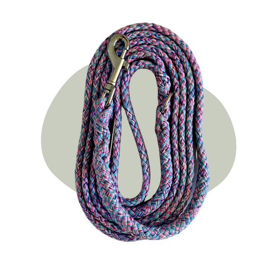 Wandellijn - Little Pony