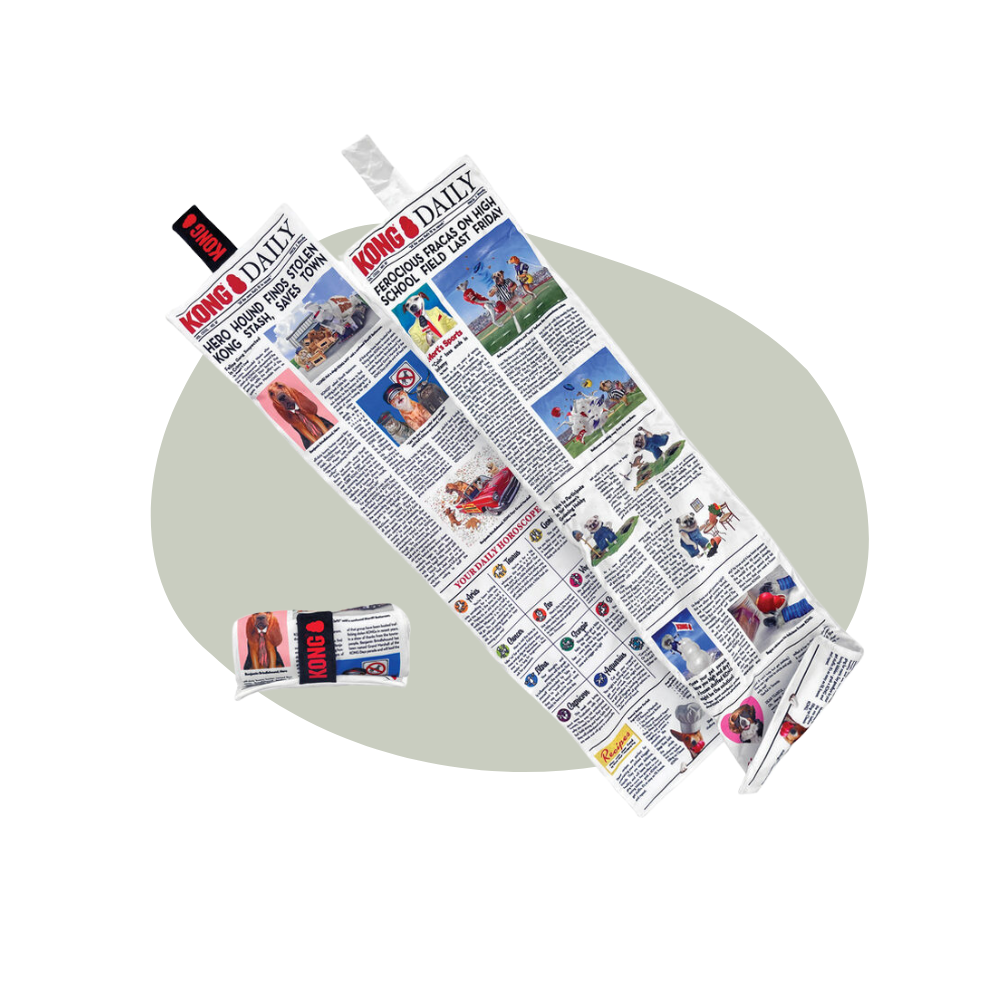 KONG - Daily newspaper