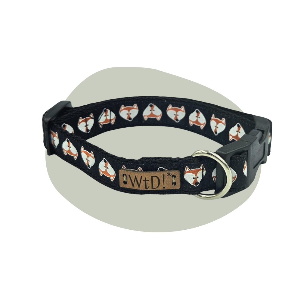 Middel halsband - Mister Fox