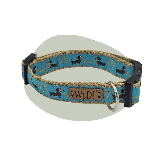 Middel halsband - Teun Teckel