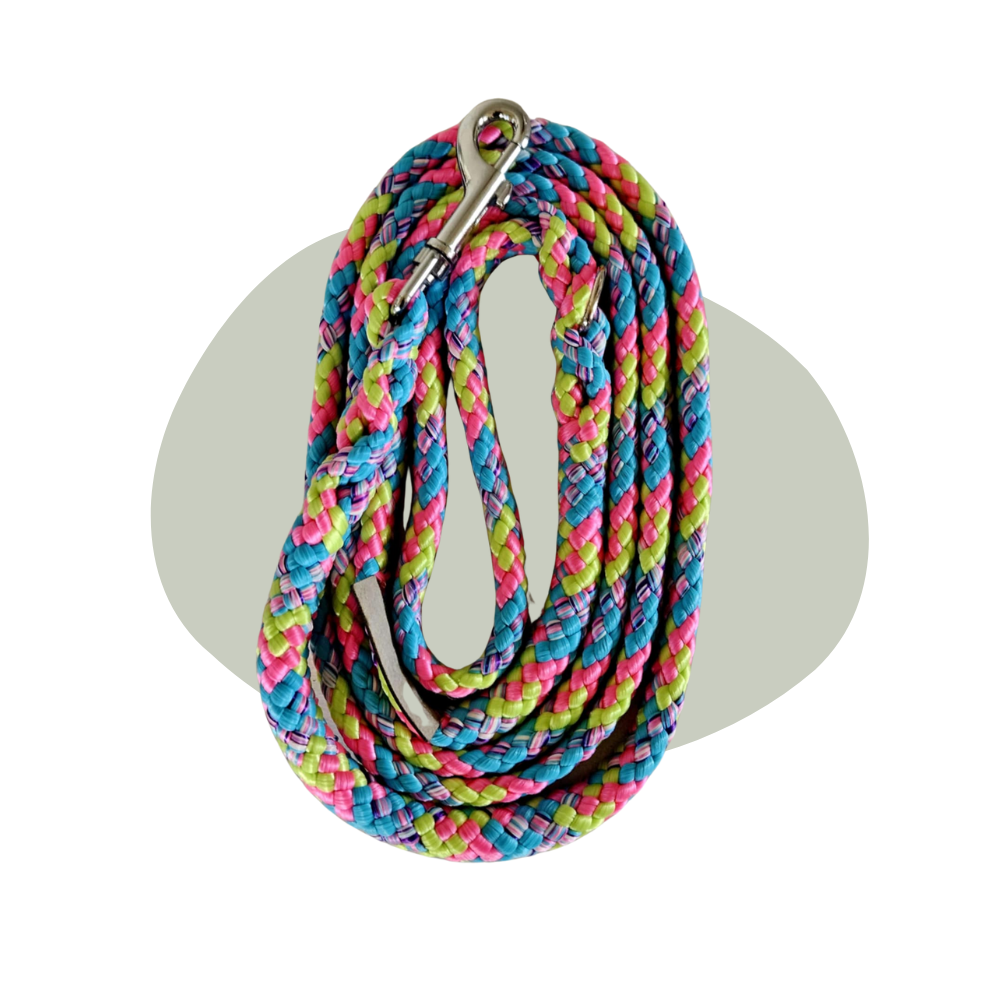 Wandellijn - Bubblegum