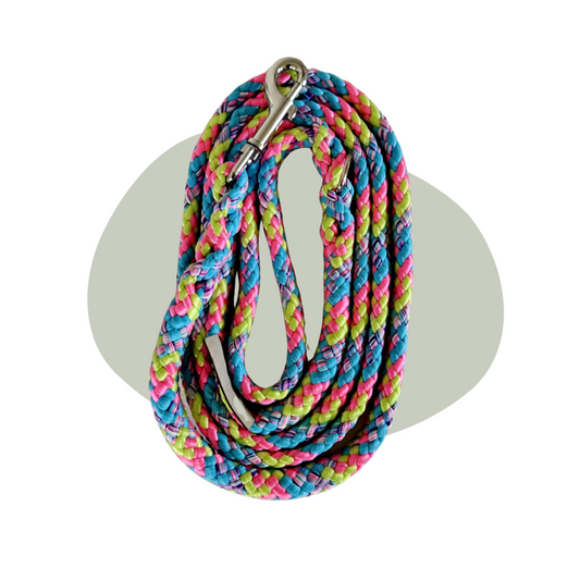 Wandellijn - Bubblegum