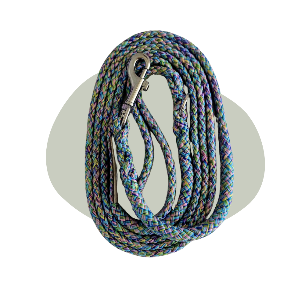 Wandellijn - Mermaid