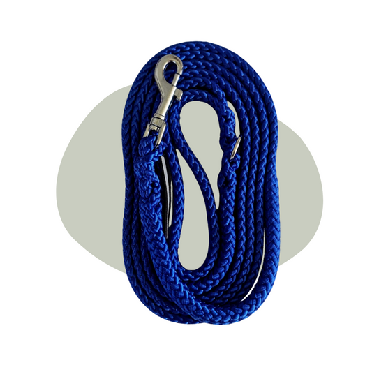 Wandellijn - Electric Blue