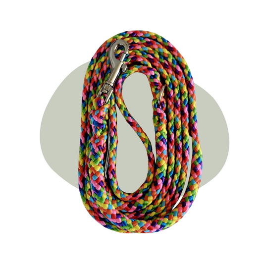 Wandellijn - Rainbow