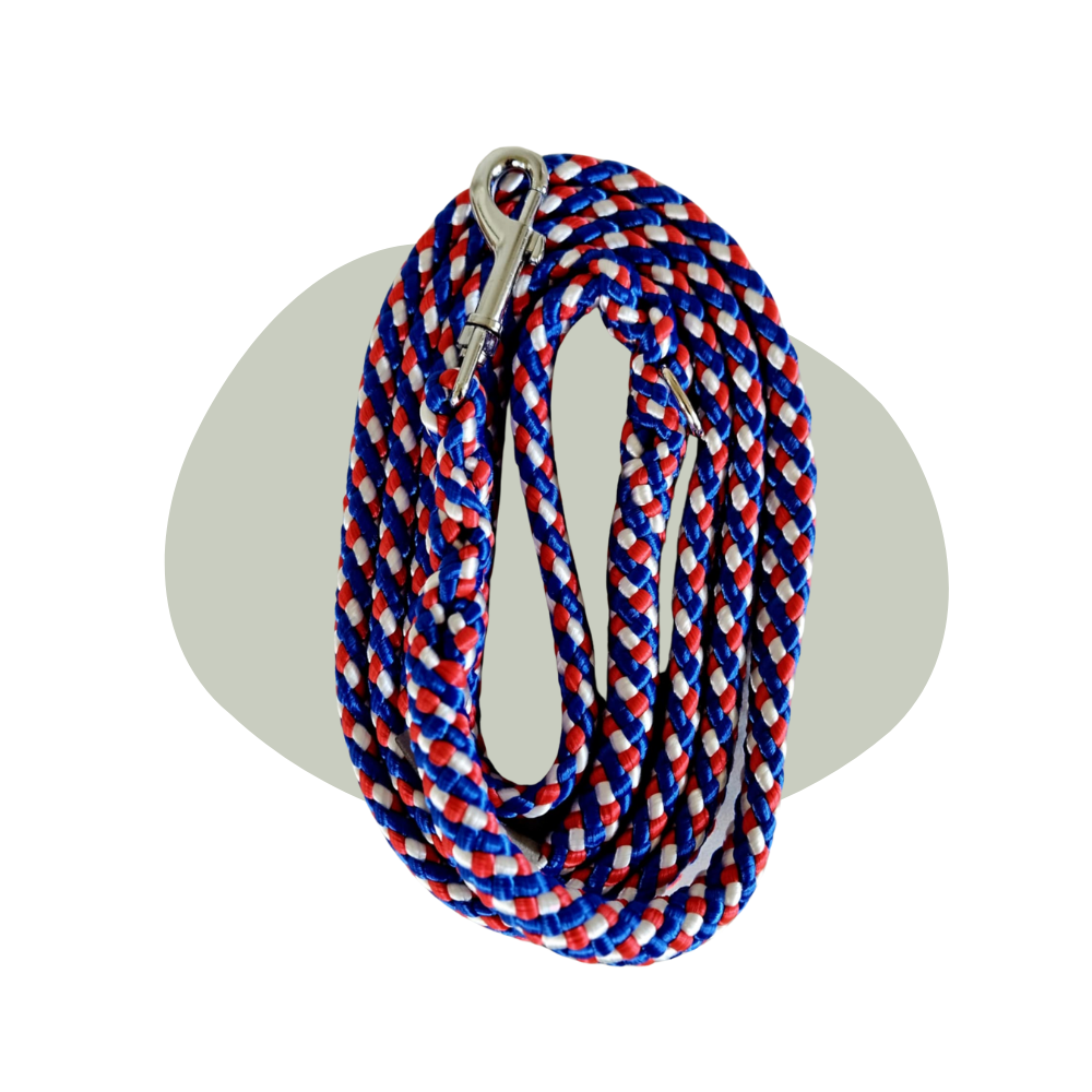 Wandellijn - Holland