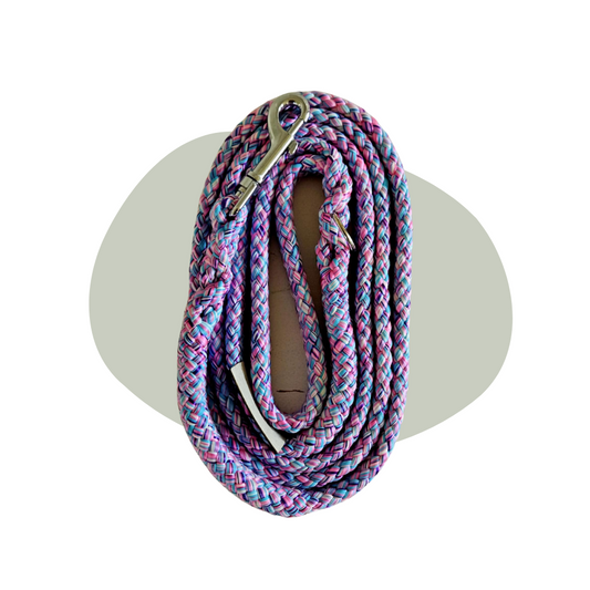 Wandellijn - Little pony