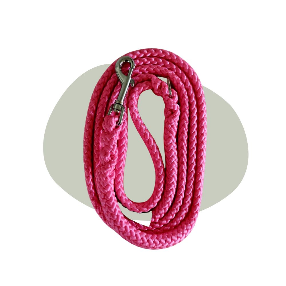 Wandellijn - Neon Pink