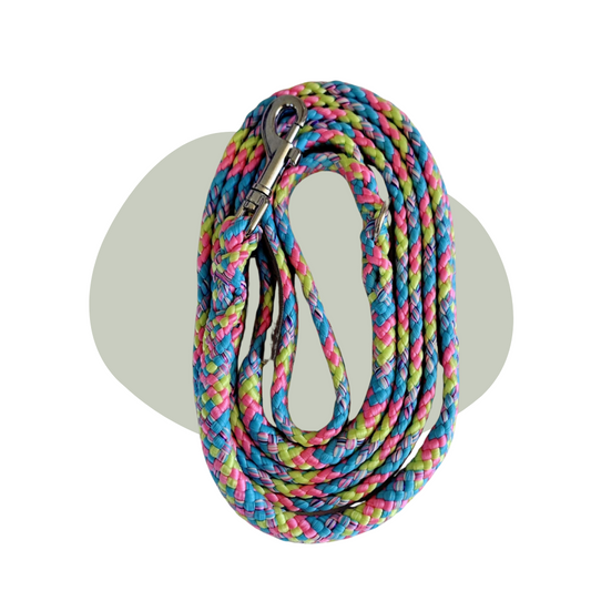 Wandellijn - Bubblegum