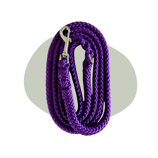 Wandellijn - Paars
