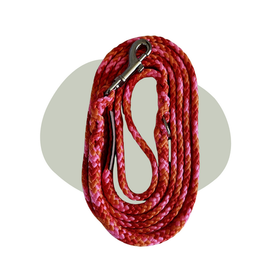 Wandellijn - Candystick