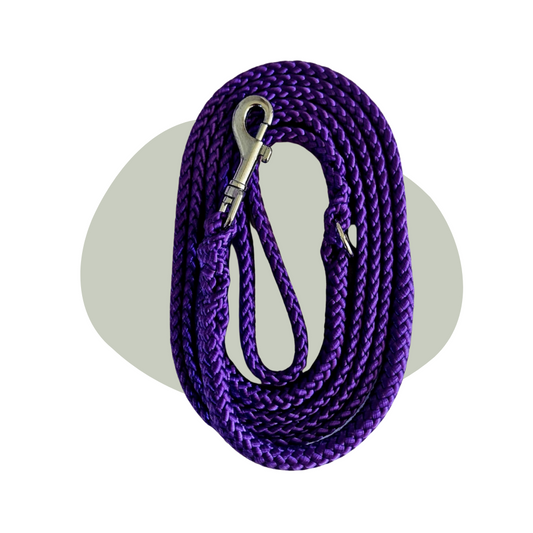 Wandellijn - Paars