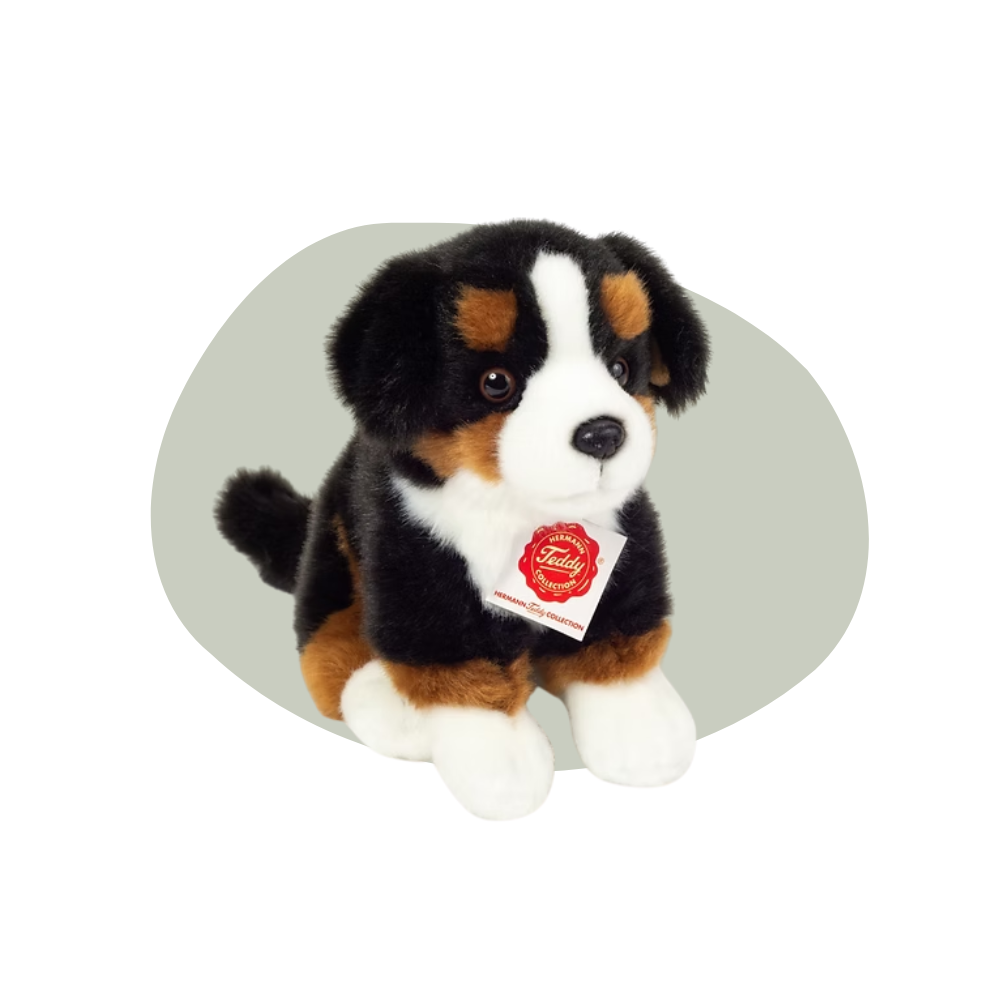 Berner Sennen - knuffelhond