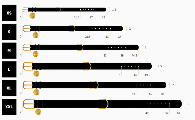 The Dog Musthaves - Hondenhalsband echt leer met naam penning - Taupe