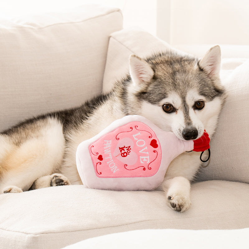 Pawtion No K9