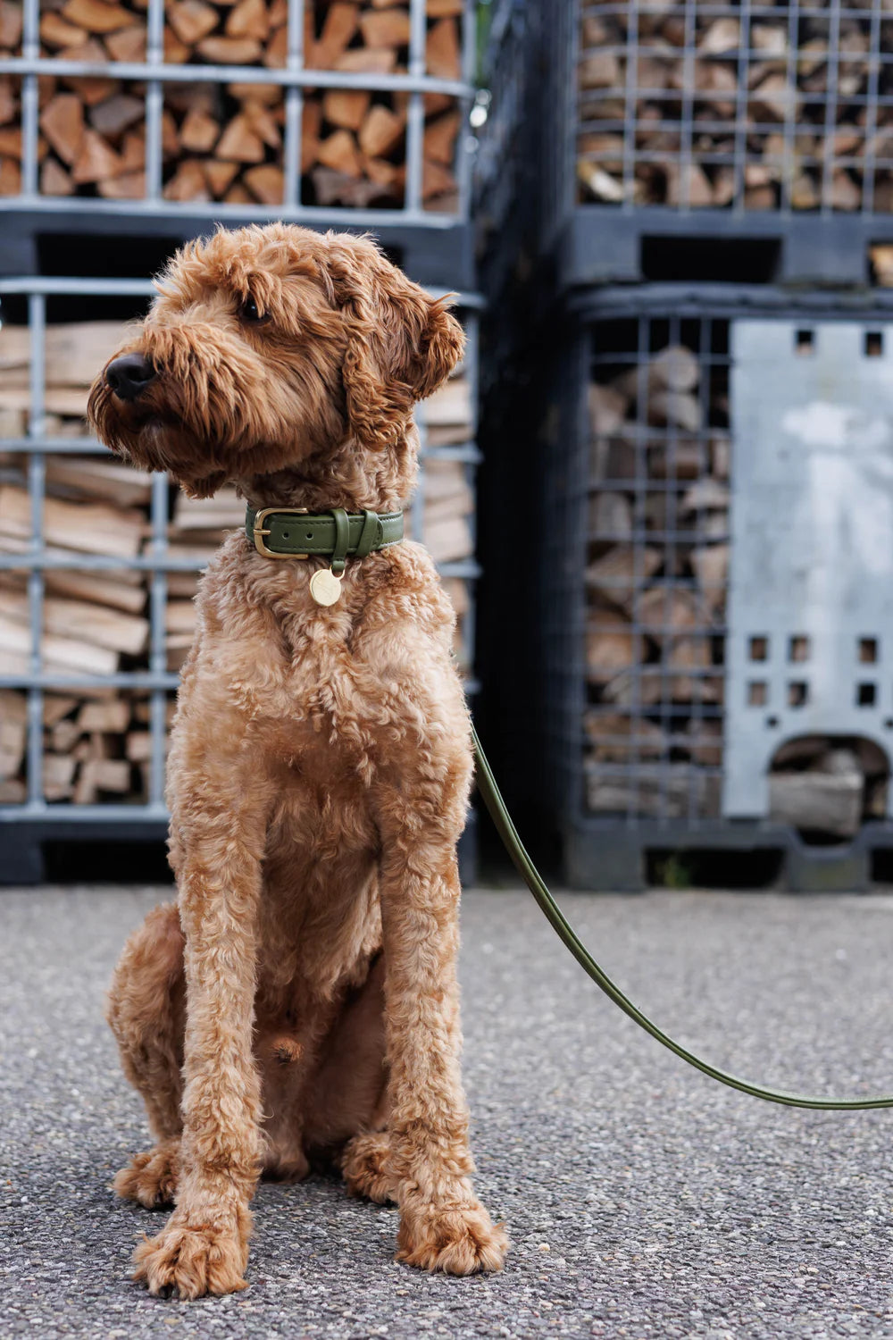 The Dog Musthaves - Groene leren hondenriem