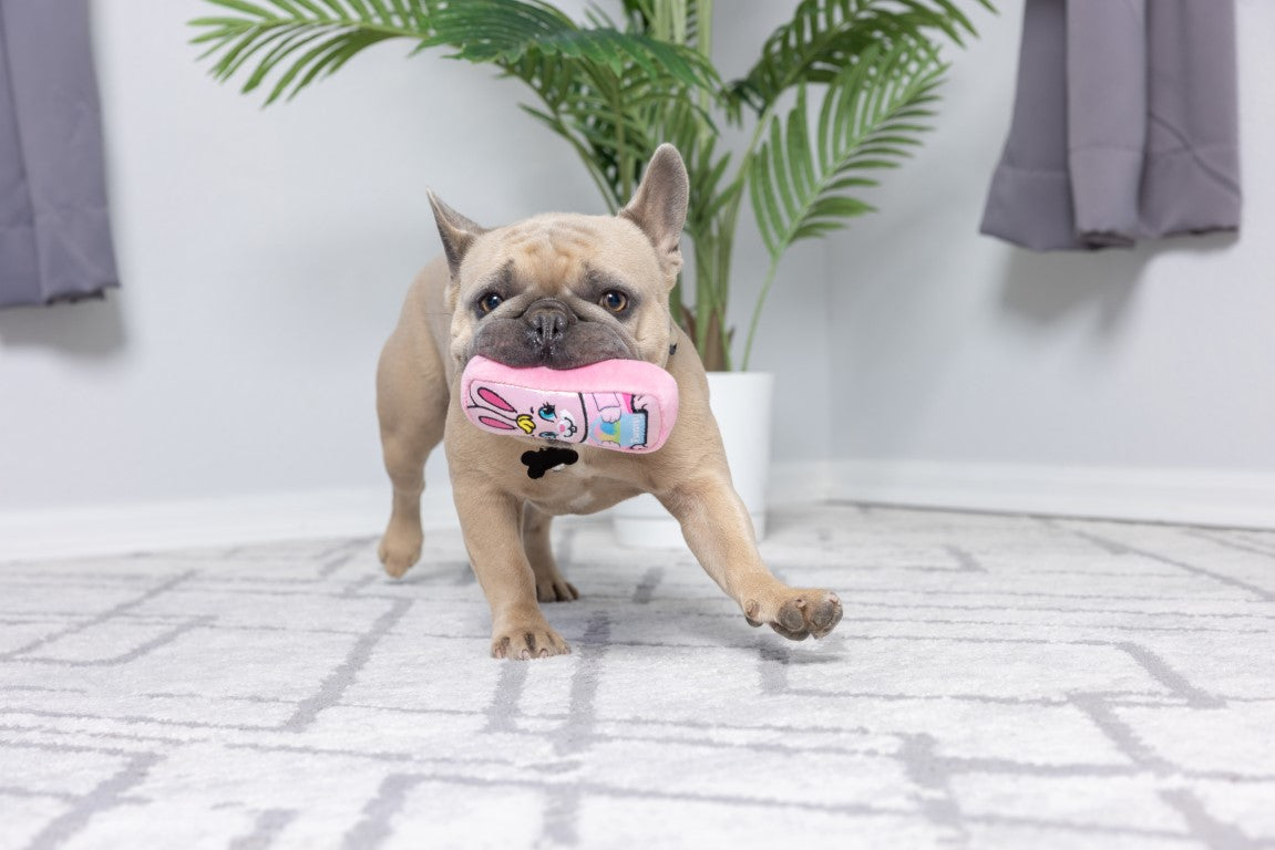 Tiny Tuff Funny Bunnies