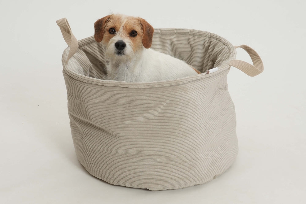 DOGS in the CITY - Zand Basket