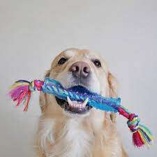 Petstages - Orka stick