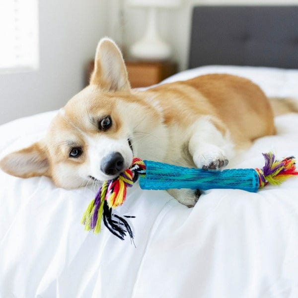 Petstages - Orka stick