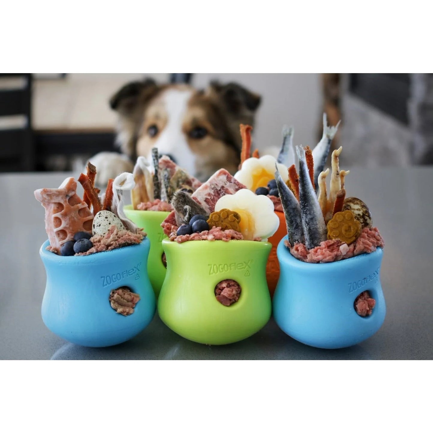 Westpaw - Zogoflex Toppl