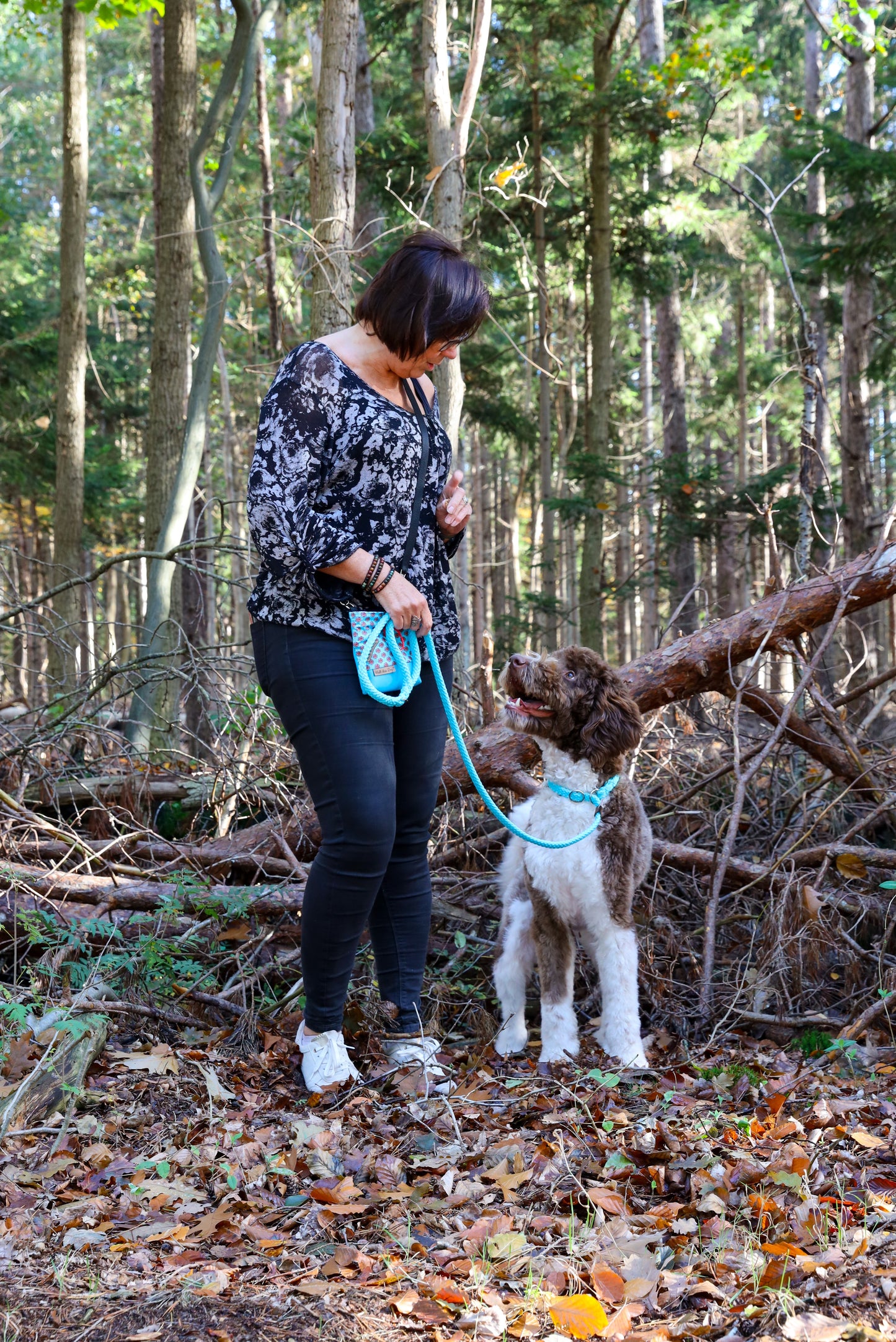 Wandellijn - German Shepherd