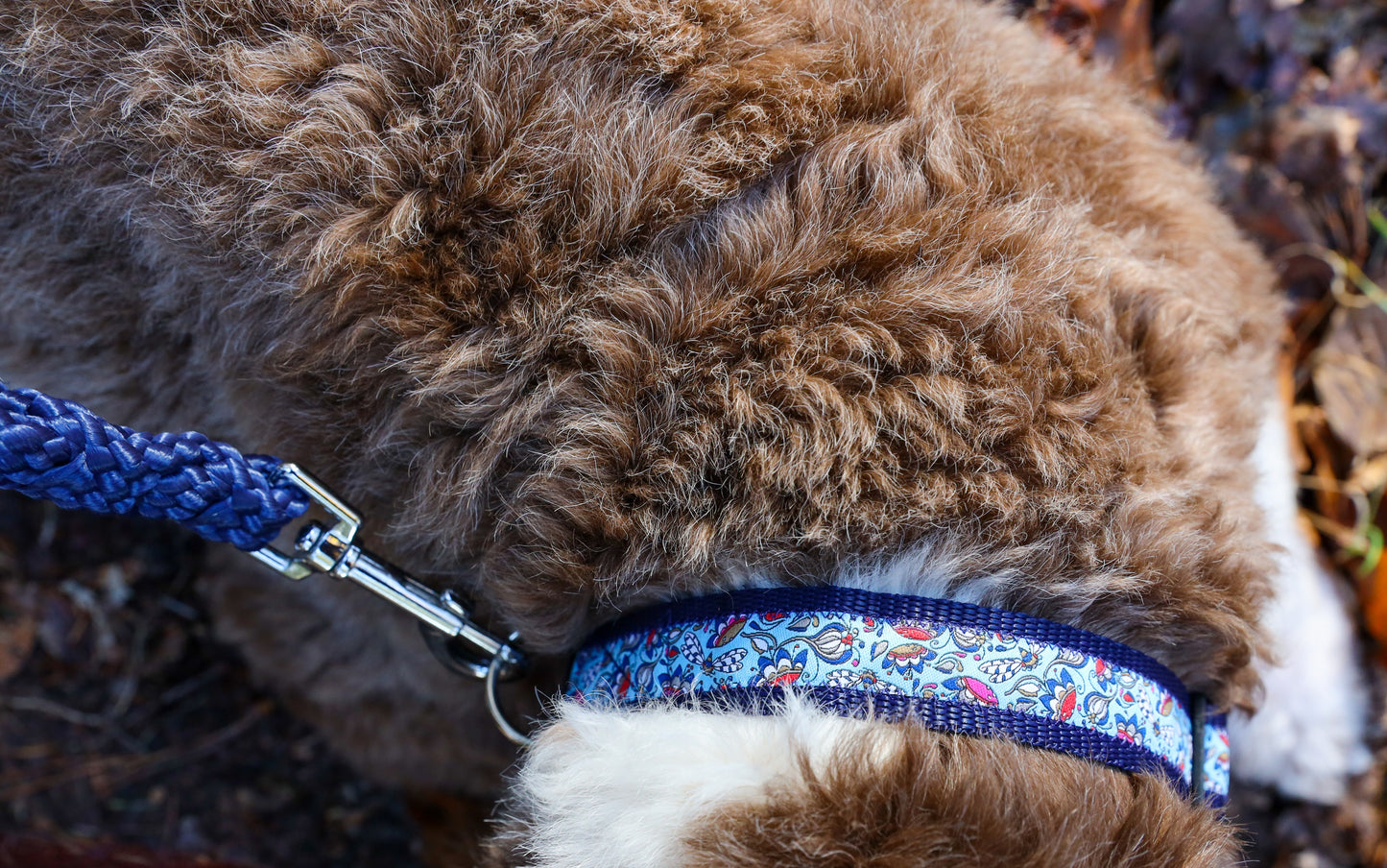 Set voor grote hond - Donna Gloria