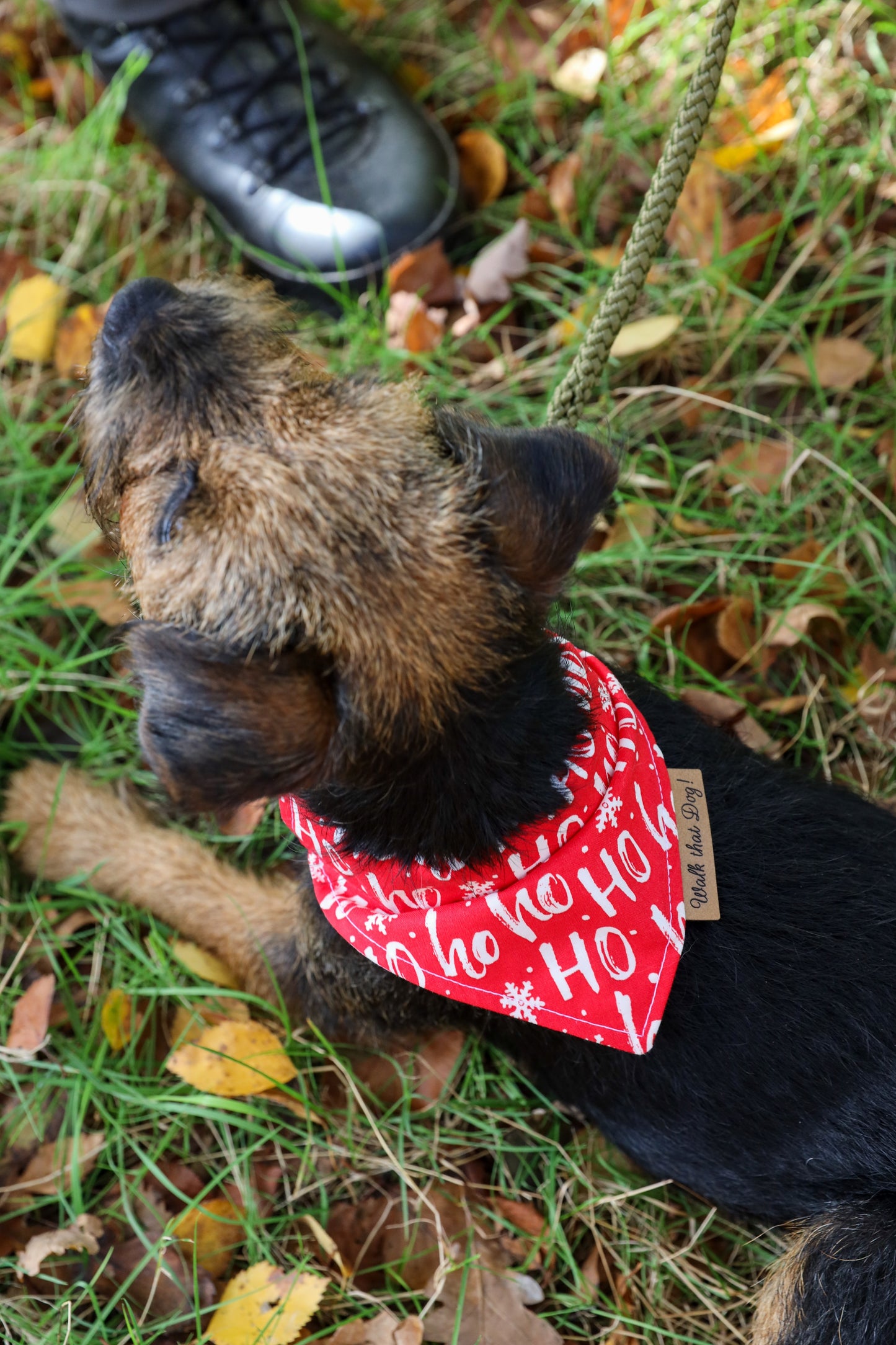 Bandana - Ho, Ho, Ho: Rudolph's favorite